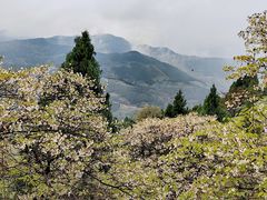 -舒家湾天主教堂