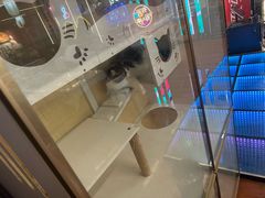 -老炮儿轰趴团建KTV桌游棋牌主题馆(五道口店（底商店))