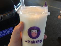 -一只酸奶牛(奎星楼店)