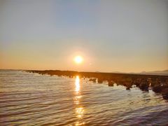 -微山湖红荷湿地景区