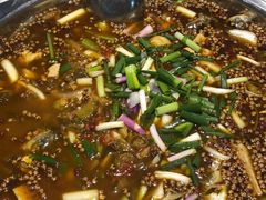 黄辣丁-满诗爷黄辣丁(金岛花园店)