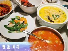 -雀蓝川菜(奥体广场店)