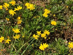 -新天地活力PARK