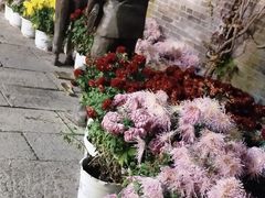 -回龙窝历史文化街区