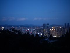 -长虫山生态公园风景林