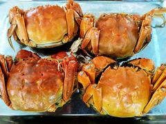 -乡乐园蟹庄·阳澄湖农家乐