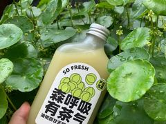 -森茶(湛江万达店)