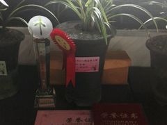 -绮园景区