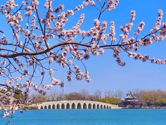 -颐和园