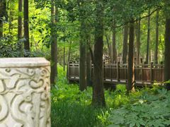 -东湖落雁景区