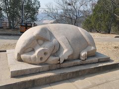 -北京十三陵国家森林公园蟒山景区