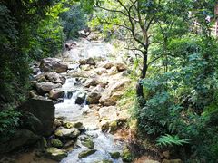 -南海湾森林生态园
