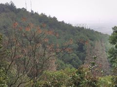 -宁波市保国寺古建筑博物馆