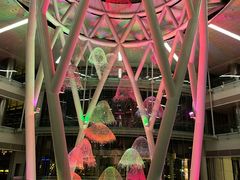 -泡泡玛特POPMART(浦项中心体验店)