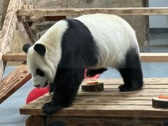 -无锡动物园·太湖欢乐园