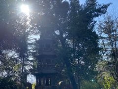 -兴教寺