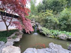 -上海醉白池公园