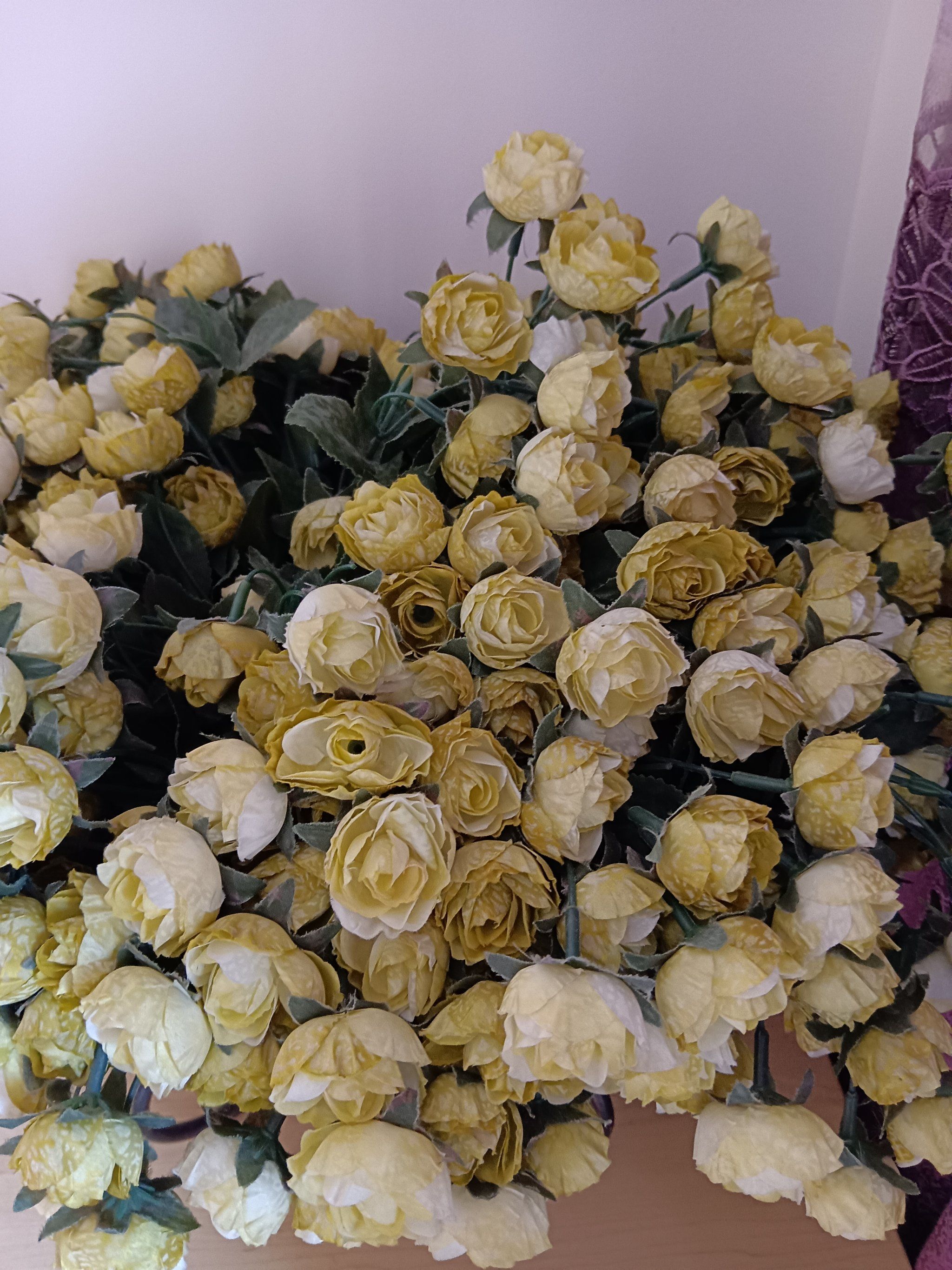 在朋友家拍两盘花非常喜欢,主人是个热爱生