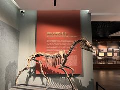 -齐齐哈尔市博物馆