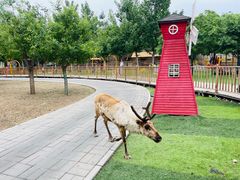 -北京鹿世界主题园