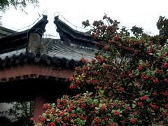 -穹窿山景区