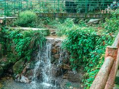 -藏龙百瀑风景区