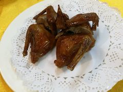 -鸽王世家(东华东路店)