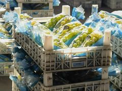 -东方鼎信农副产品交易中心