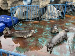 -华夏文旅海洋公园