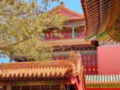-故宫博物院(故宫)