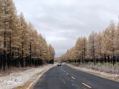 -塞罕坝国家级自然保护区