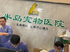 -半岛宠物医院24小时(科华中路店)