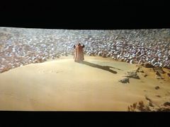 -AMG海上明珠影城(上海环球港RealDCinema店)