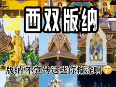 -西双版纳原始森林公园
