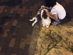 -糖水佬甜品(深水埗店)