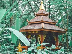 -野象谷景区