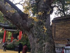 -无锡惠山寺