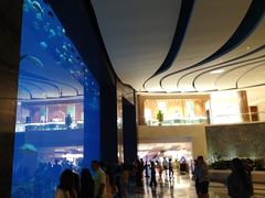 -亚特兰蒂斯•OSSIANO奥西亚诺海底餐厅