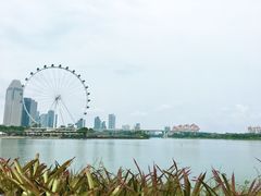 -新加坡摩天观景轮