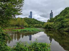 -观山湖公园