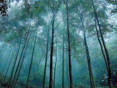 -清江方山景区