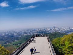 -紫金山山顶公园