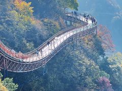 -少华山国家森林公园