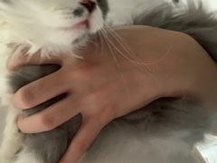 -宠颐生宠物医院·犬猫全科·皮肤科(商业街店)