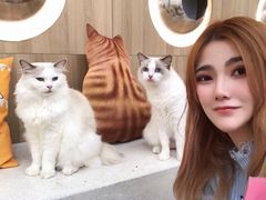 -瞄一喵猫咖(格力海岸店)