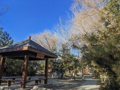 -大兴滨河森林公园