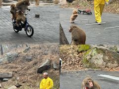 -洛阳花果山景区