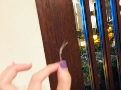 -宁波柏悦酒店·钱湖渔港