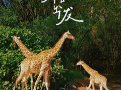 -广州长隆野生动物世界