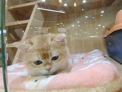 -宠物世家(仲盛世界商城店)